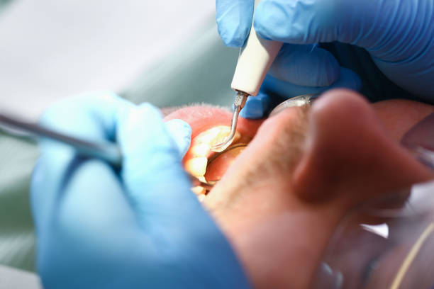 Best Emergency Gum Pain Relief  in Mount Jackson, VA